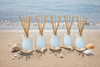 Summer Reed Diffuser Set of 5 (10% off!)