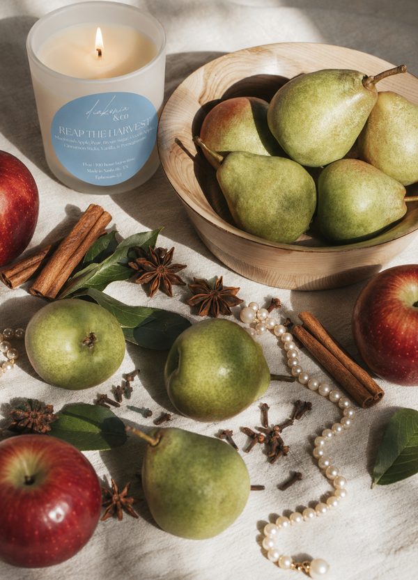 PRE-ORDER! Reap the Harvest candle | baked apples and mulled spice