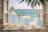 Cornerstone Set (10% off!) | bergamot and hinoki