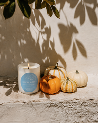 NEW! Abide in Autumn candle | pumpkin pie