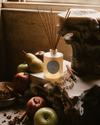 NEW! Reap the Harvest reed diffuser | baked apples & mulled spice