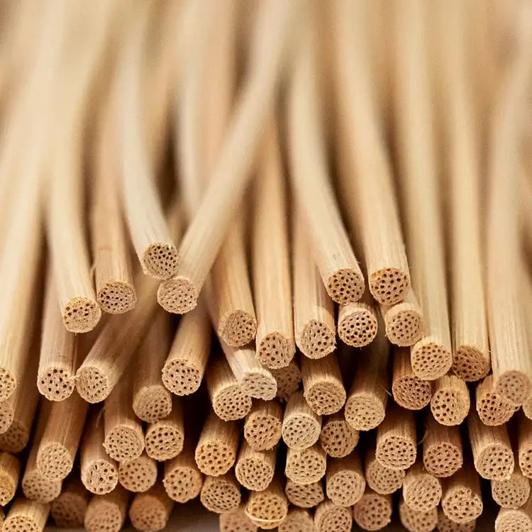 Extra Set of Diffuser Reeds