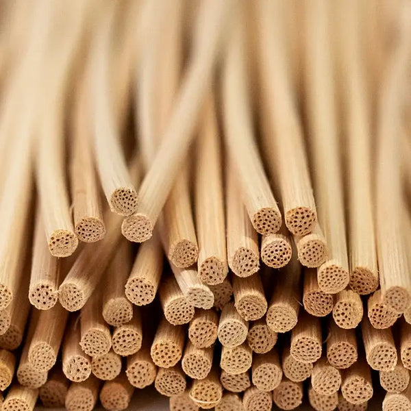 Extra Set of Diffuser Reeds